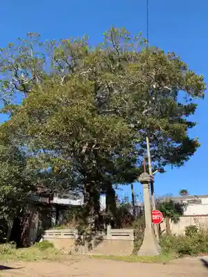 最勝院(千葉県)