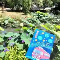 雲龍山 本證寺の御朱印帳