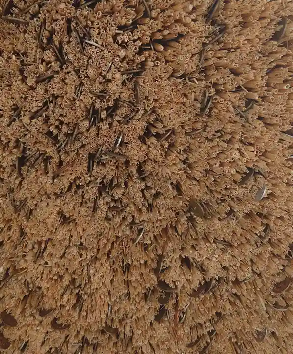 常陸国出雲大社(茨城県)