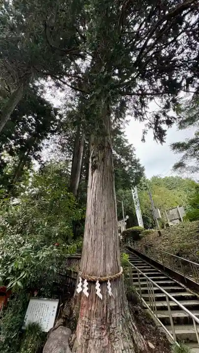 神場山神社(静岡県)
