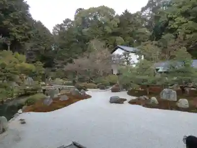くろ谷 金戒光明寺(京都府)