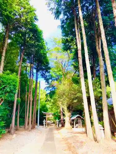 城中八幡神社の鳥居