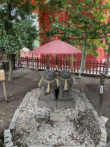 浅草神社の狛犬