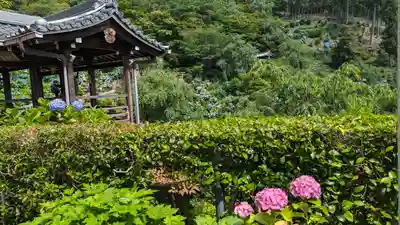 善峯寺(京都府)