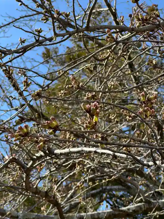 伊勢の国 四天王寺(三重県)