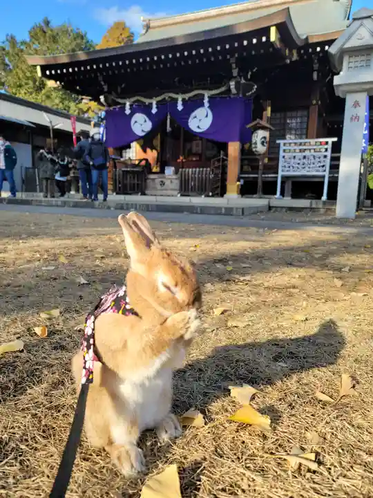 下新倉氷川八幡神社(埼玉県)