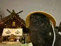 札幌諏訪神社の狛犬