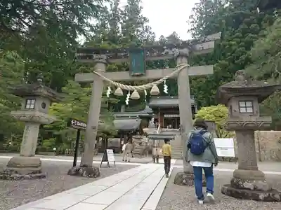 櫻山八幡宮の鳥居