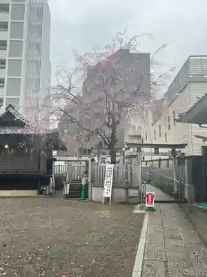 荻窪白山神社(東京都)