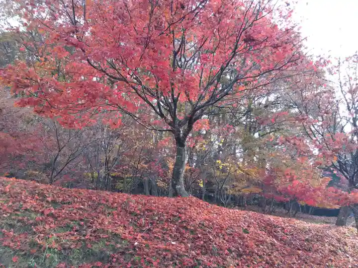 石道寺(滋賀県)