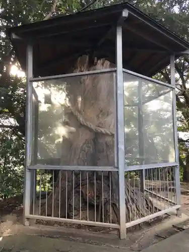 長浜神社の自然
