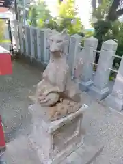 星川杉山神社の狛犬