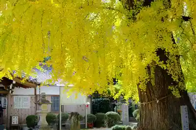 丹生酒殿神社(和歌山県)