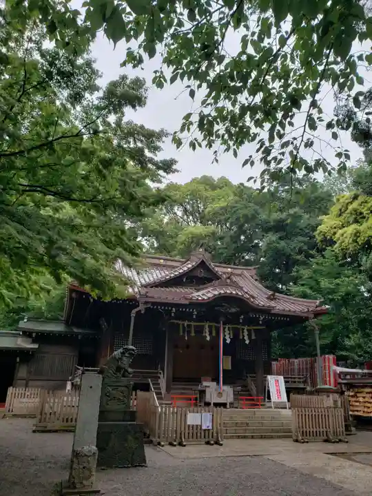 代々木八幡宮の本殿・本堂