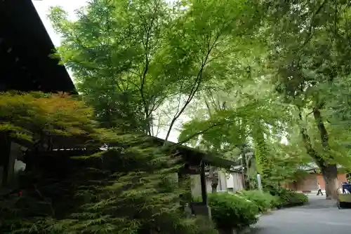 阿佐ヶ谷神明宮の{uncategorized: "未分類", other: "その他", undefined: "問題あり", building: "その他建物", grave: "お墓", sacred_gate: "鳥居", guardian: "狛犬", statue: "像", buddha: "仏像", history: "歴史", nature: "自然", garden: "庭園", animal: "動物", pagoda: "塔", temizu: "手水舎", mountain_gate: "山門・神門", sanctuary: "本殿・本堂", subordinate: "末社・摂社", art: "芸術", scenery: "景色", jizo: "地蔵", ema: "絵馬", goshuin: "御朱印", omikuji: "おみくじ", items: "授与品その他", amulet: "お守り", goshuincho: "御朱印帳", eats: "食事", festival: "お祭り", votive_dance: "神楽", shichigosan: "七五三参", wedding: "結婚式", experience: "体験その他", initially: "初詣", around: "周辺", anti_infection: "感染症対策"}