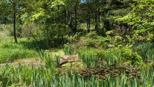 景勝寺の庭園