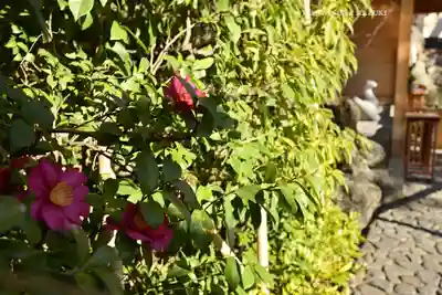 蛇窪神社(東京都)