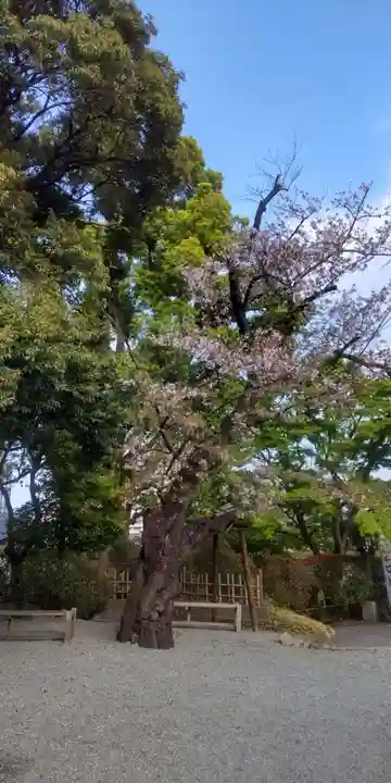 伊勢山皇大神宮(神奈川県)