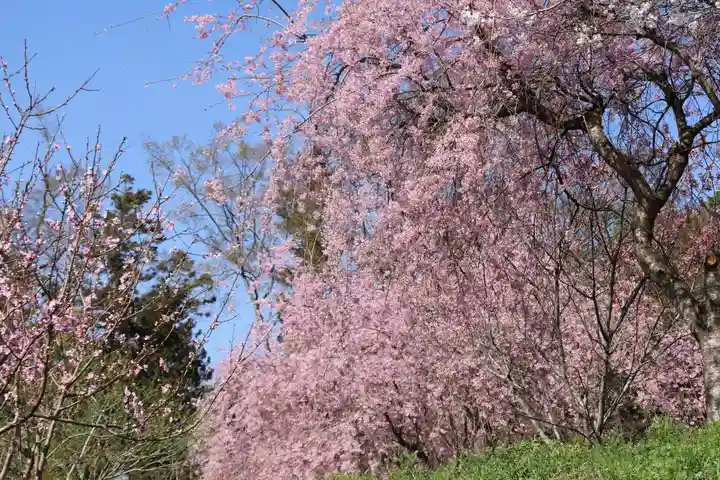 阿久津「田村神社」(郡山市阿久津町)旧社名:伊豆箱根三嶋三社の庭園