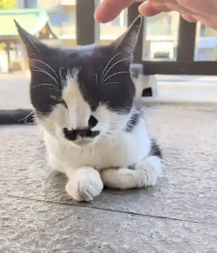 白金氷川神社(東京都)
