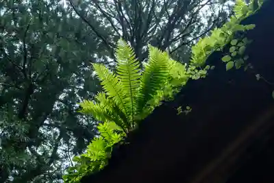 戸隠神社九頭龍社(長野県)
