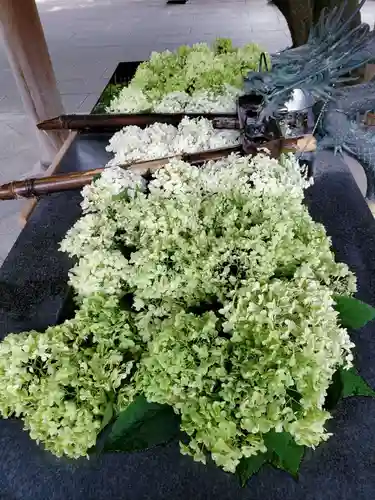 熊野神社の手水舎