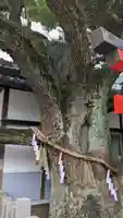 楠永神社(大阪府)