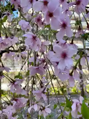 頂法寺（六角堂）(京都府)