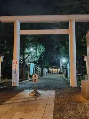 新琴似神社の鳥居