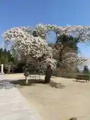 赤井嶽薬師 常福寺の自然