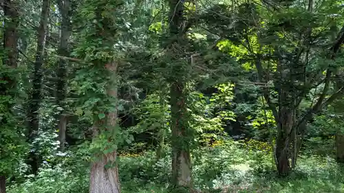 喜茂別神社の自然