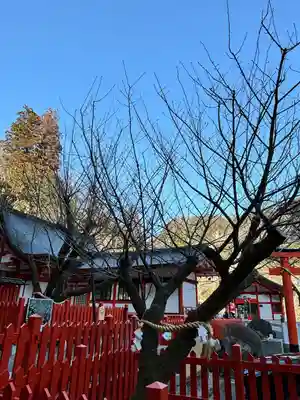 金櫻神社(山梨県)