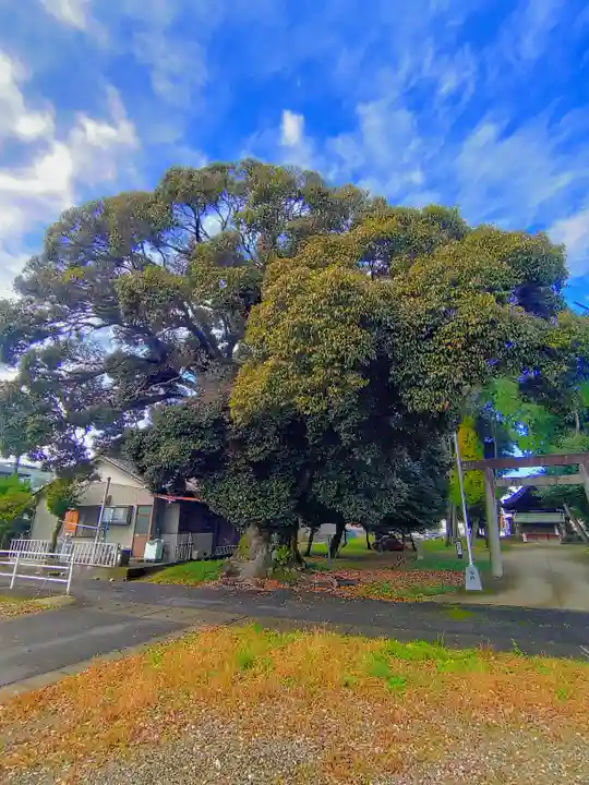 十二柱社(多気中町)の自然