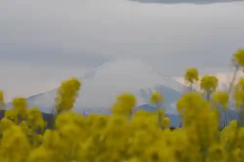 吾妻神社の景色