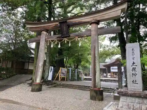 土佐神社の鳥居