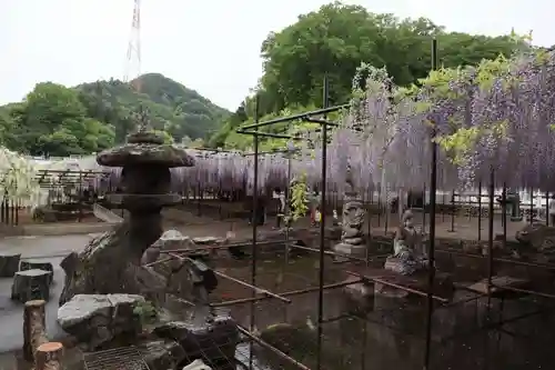 長泉寺の庭園