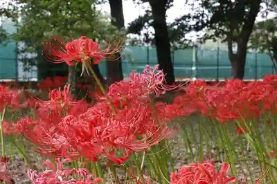 若宮八幡宮(京都府)