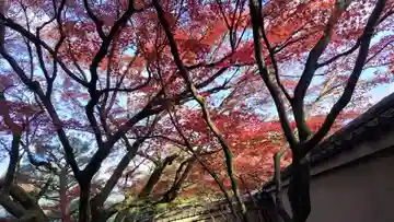 養徳院(京都府)