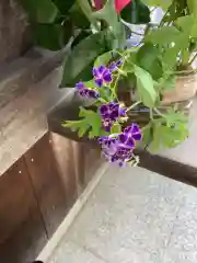 小垣江神明神社の建物その他