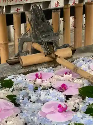 高円寺氷川神社(東京都)