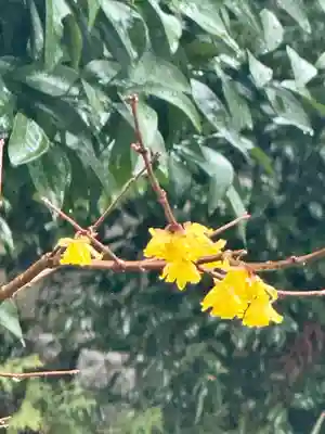 永興寺(山科豊川稲荷社)(京都府)