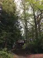 両神神社の自然