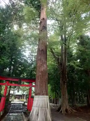 竃神社(長野県)