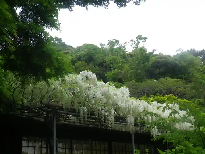 英勝寺のその他建物