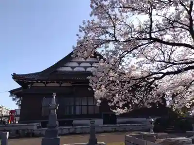 井波園瑞泉寺(新潟県)