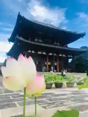 喜光寺(奈良県)