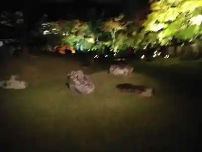 高台寺（高台寿聖禅寺・高臺寺）(京都府)