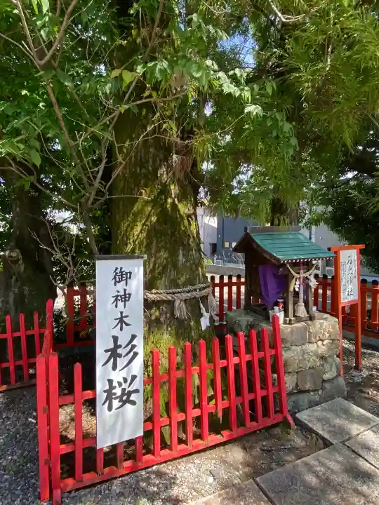 本宮神社の{uncategorized: "未分類", other: "その他", undefined: "問題あり", building: "その他建物", grave: "お墓", sacred_gate: "鳥居", guardian: "狛犬", statue: "像", buddha: "仏像", history: "歴史", nature: "自然", garden: "庭園", animal: "動物", pagoda: "塔", temizu: "手水舎", mountain_gate: "山門・神門", sanctuary: "本殿・本堂", subordinate: "末社・摂社", art: "芸術", scenery: "景色", jizo: "地蔵", ema: "絵馬", goshuin: "御朱印", omikuji: "おみくじ", items: "授与品その他", amulet: "お守り", goshuincho: "御朱印帳", eats: "食事", festival: "お祭り", votive_dance: "神楽", shichigosan: "七五三参", wedding: "結婚式", experience: "体験その他", initially: "初詣", around: "周辺", anti_infection: "感染症対策"}