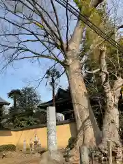 本願寺の建物その他