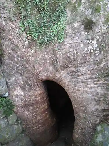 熊野那智大社(和歌山県)